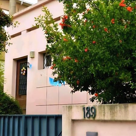 Antas Cozy House Apartman Porto Kültér fotó