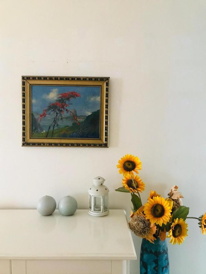 Antas Cozy House Apartman Porto Kültér fotó