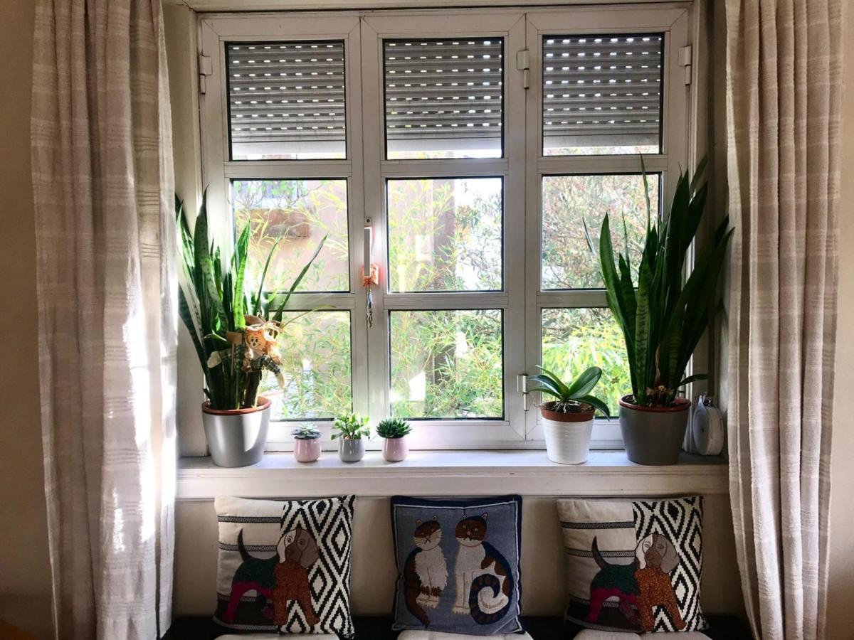 Antas Cozy House Apartman Porto Kültér fotó